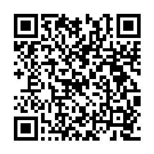 她甚至怀疑是不是秦林已经发现了自己卧底的身份二维码生成