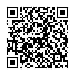 她甚至都不知道自己的主人竟然有这么一个疯狂的计划二维码生成