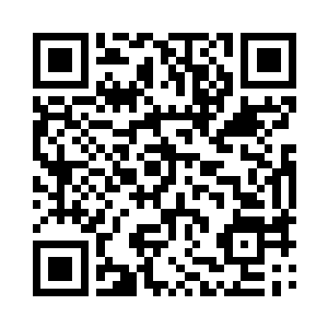 她用实验室那边的小白鼠做了简单的实验二维码生成