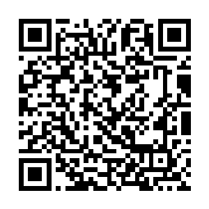她的全部心思都被谢芳华恐难支撑而再加重内伤填充二维码生成