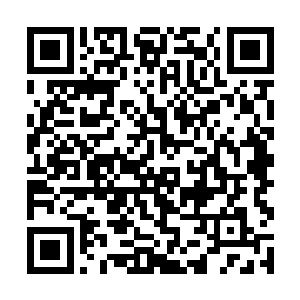 她的剑法再次展现出了惊人的天赋剑动肆如万道奔雷二维码生成