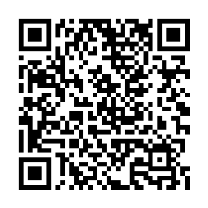 她的双手染着我们大和国无数武士和忍者的鲜血二维码生成