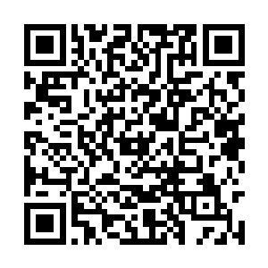 她的另外一只干净的手忽然一把就抓住了叶凡的手二维码生成