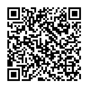 她的各项生理指数随着仪器的运作显现到了入江正一和泽田弘树面前的显示器上二维码生成