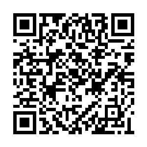 她的唇色已经从刚才的苍白恢复到了往日的嫣红二维码生成