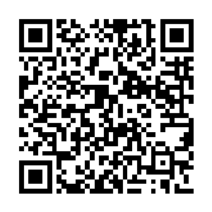 她的妆容不是那种新嫁娘惯常涂抹的厚厚的白粉二维码生成