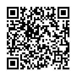 她的心开始扑通扑通快速跳跃起来……250机甲团二维码生成