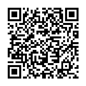 她的手指流畅地在钢琴上弹奏出了一个个美妙动人的音符二维码生成