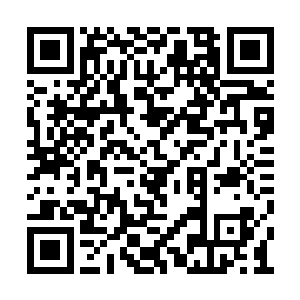 她的目光有几分痴迷的看着弹奏完站起身的女子二维码生成