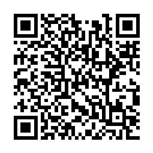 她的眼前总会闪过飞达看龙战时候那个阴毒的眼神二维码生成