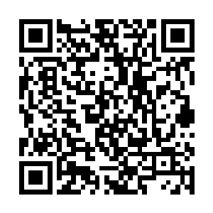 她的耳朵里很快消化掉柳泱泱说的那句得宠的大丫鬟二维码生成