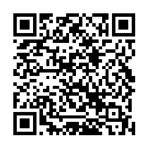 她的背景恐怕不是只有中元星系许家那么简单最毒美人心二维码生成