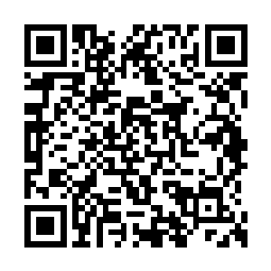 她的脑子会在这样的缝隙里想到过去听过的故事二维码生成