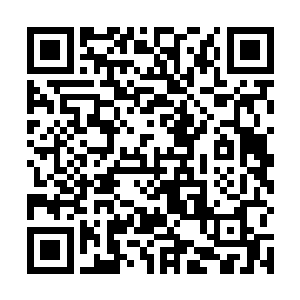 她的财力虽然不足以让她得到这个世界所有修士的尊敬二维码生成