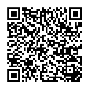 她的走红倒并不是因为她拍了多少出色的电影电视又或者唱了多少红火的歌曲二维码生成