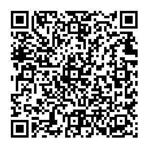 她直接从市公安局副局长被调到了省公安厅老干部处当了一个负责离退休老干部管理服务的副处长二维码生成