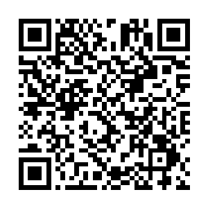 她看到他跟很多女人在游戏世界中发生非常混乱的关系二维码生成