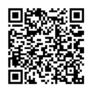 她看到在尘土飞扬中有着数十个白色的光点释放出光芒二维码生成