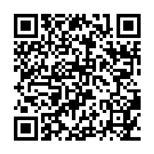 她真想把这个胳膊肘儿往外拐的家伙给揪下来打一顿二维码生成