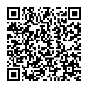 她真正的实力还是没有展露出来的那么强悍的――三刀灭掉梦境守护二维码生成