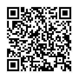 她知道她在这种情况下根本支撑不了几息的时间二维码生成