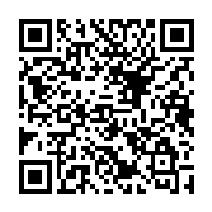 她知道无知和愚昧是维持她们这个职业权威的必要基础二维码生成