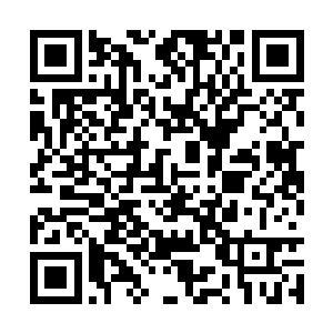 她知道独步和落阳是特意装出这副无视自己的模样二维码生成