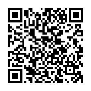她知道秦洛之所以会被抓进督察队是因为和这个扬渡发生冲突二维码生成