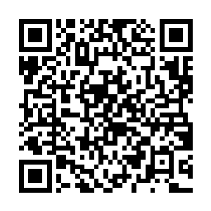 她立马将那破了洞的公主裙和脏污的白色紧身裤脱下二维码生成