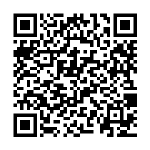 她竟是从师丝桐神色中看出了他从未有过的铁青难堪二维码生成