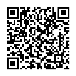 她竟然从对方的语气和神情反应中感觉出一丝丝不耐二维码生成