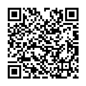 她竟然会以当他身边的大丫鬟的方式进入苏国公府二维码生成