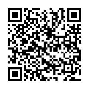 她竟然想要收服这些穷凶极恶手染无数性命的恶徒二维码生成