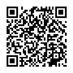 她笑着回头冲渐渐被抛在身后的少年人们挥挥手二维码生成