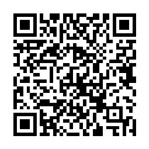 她终于明白为什么姐姐不急着结婚却跑来美国读书深造二维码生成