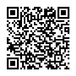 她终于明白那几个人跟普通人有什么区别了――纯净二维码生成