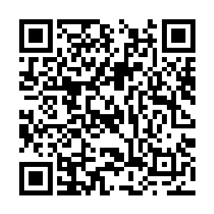 她绝不能接受自己如个乞丐般去苦苦哀求唐劫出手二维码生成