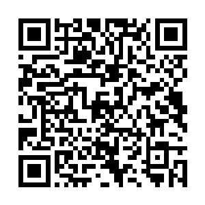 她绝对不能够眼睁睁地看着数十亿修士就这么死去二维码生成