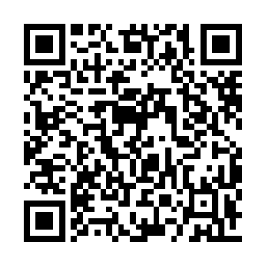 她背上一对青色剑芒羽翼以肉眼可见的速度成形二维码生成