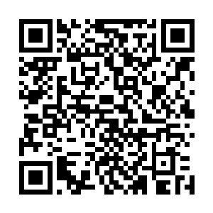 她胸前的两两团小山峰此时鬼画符骄傲地耸立在叶凡的眼前二维码生成