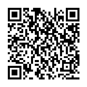 她能不能用大道之音的音波攻来对付这群独角乌烟兽呢二维码生成