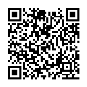 她能主动来关心询问自己已经是天大的恩赐了好么二维码生成