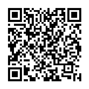她能够看出来如今许紫烟释放出来的圣级威能已经超过了他二维码生成