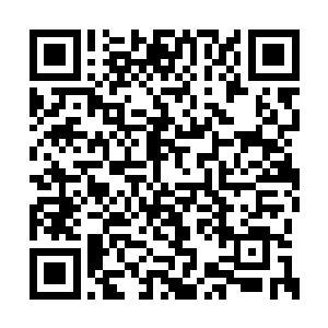 她能够看得出来此时的叶清雪是发自内心的幸福二维码生成