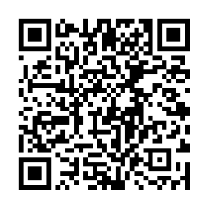 她能大概感觉到……陈三爷是因为她这种举动不高兴二维码生成