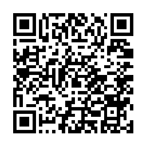 她能清楚的看到此刻oppa望着她的眼神里有一丝爱慕二维码生成