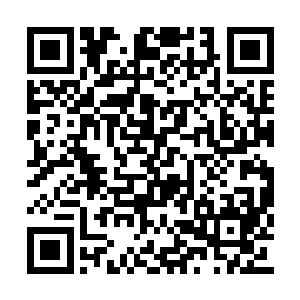 她脸上之前因为生气而引起的红晕已经全部散去二维码生成