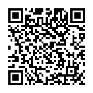 她自己就有一帮粉丝在帮她日夜不停的刷票――在这方面二维码生成