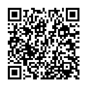 她自然也就发现了在几百米深的雪层当中的周狼二维码生成