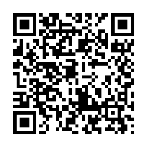 她自然听说了柳记药铺给安容送了两回药材来的事二维码生成